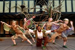 The fairies